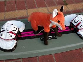 What Does The Fox Say