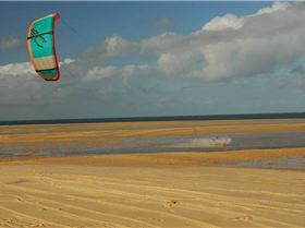 307715 10150370262246018 1747155241 n