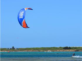 2014 and 2013 Griffin TRX's