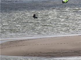 10492069 818891058141863 639150782669965350 n