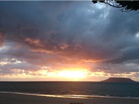 Australian Kite Safari
