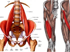 hip-flexors