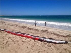 Ian's boar with newly kitted pads