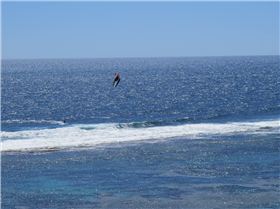 Ian catching a wave into Horrocks lagoon