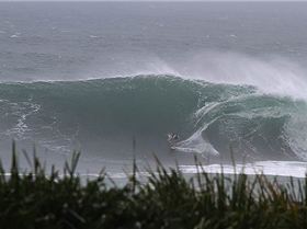9 foot straya - Chris Stroh Productions
