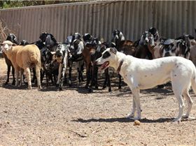 554955 10151533294468055 43477860 n