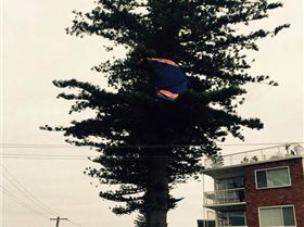 10810003 615480455241087 634771476 n