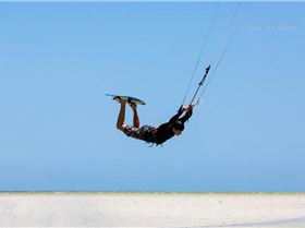 Freestle State Titles