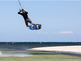 Freestle State Titles