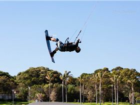 Freestle State Titles