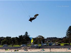 Freestle State Titles