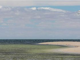 Whyalla Freestyle State Titles.