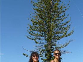 Like this! Didnt even damage it.