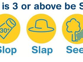 Logo SS Icon with Message & Text