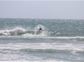 Croc, Jordie  and Bazz