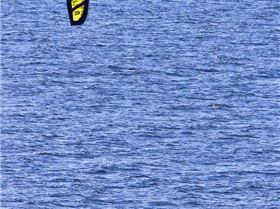 Flysurfer Sonic FR 18m