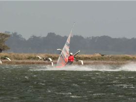 windsurfer