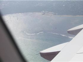 Simzy's and Baby Reef