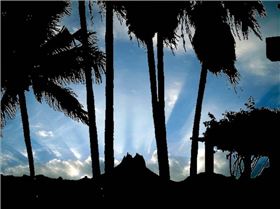 ATARDECER EN "SAN CARLOS"