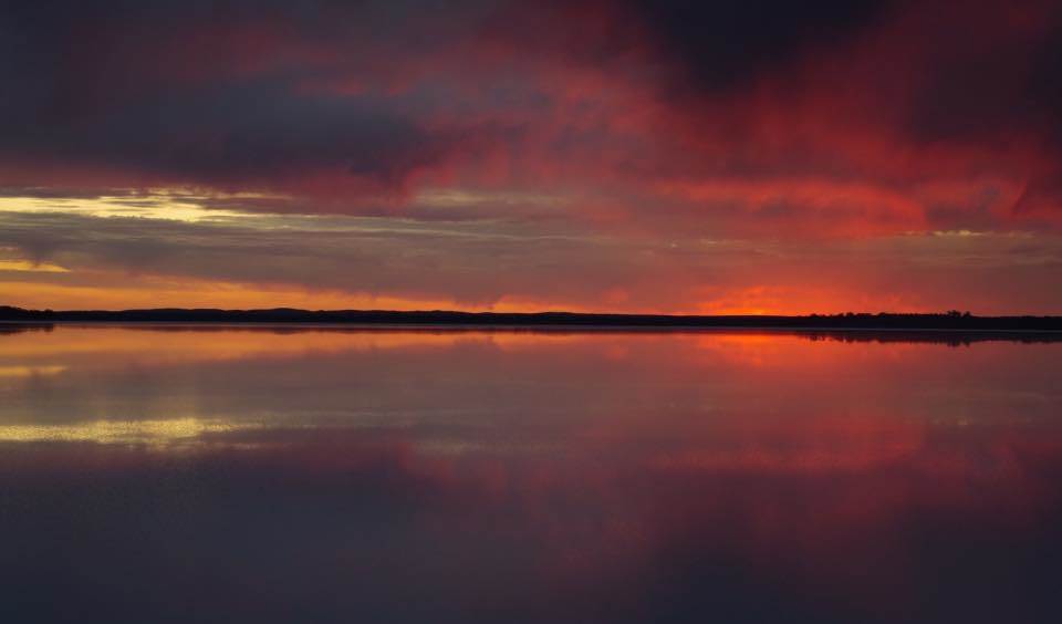 12109104 884329154992423 1655731564761301495 n