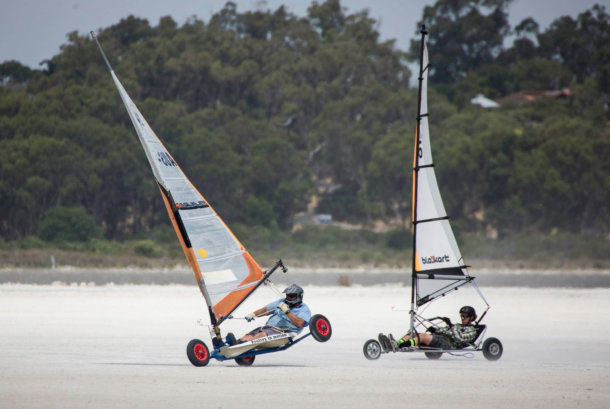 Chook overtaking blokart 3