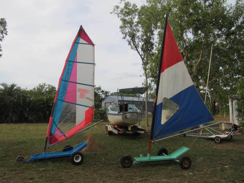 mudskipper and blue swimmer