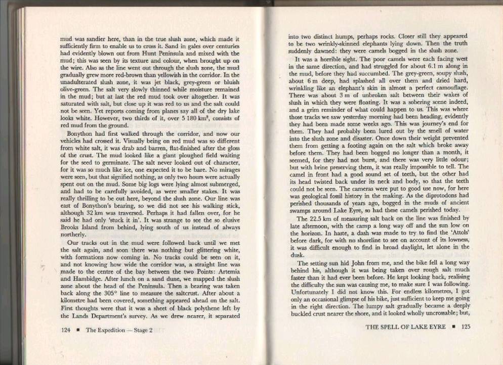 real photo new sails