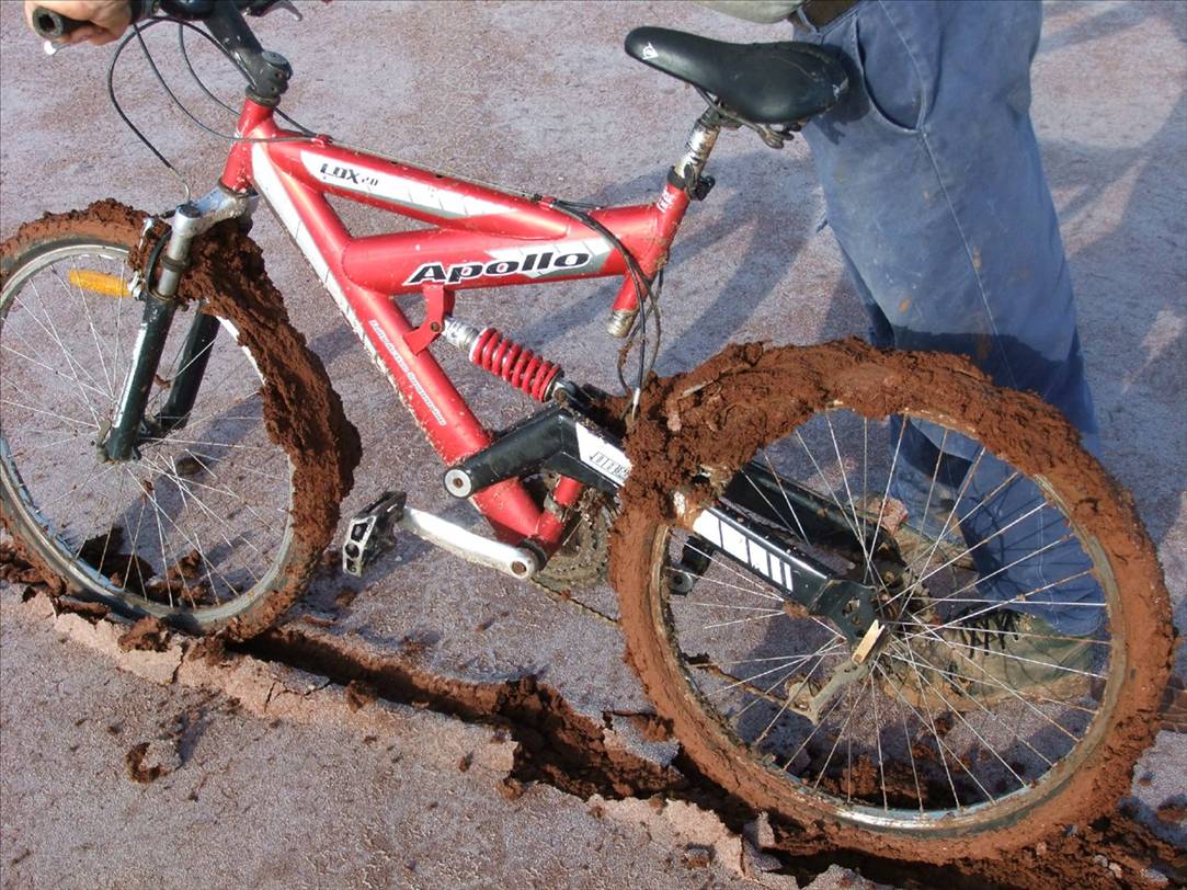 bikes in bogs