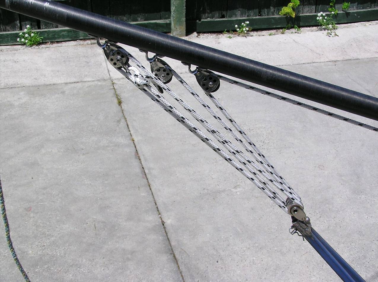 010.11.03 AeonsViola 001