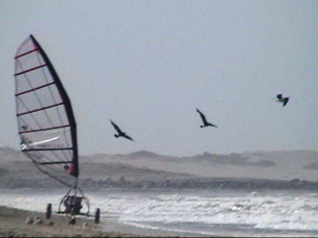 LANDSAILING  EN BAHIA DE LOBOS
