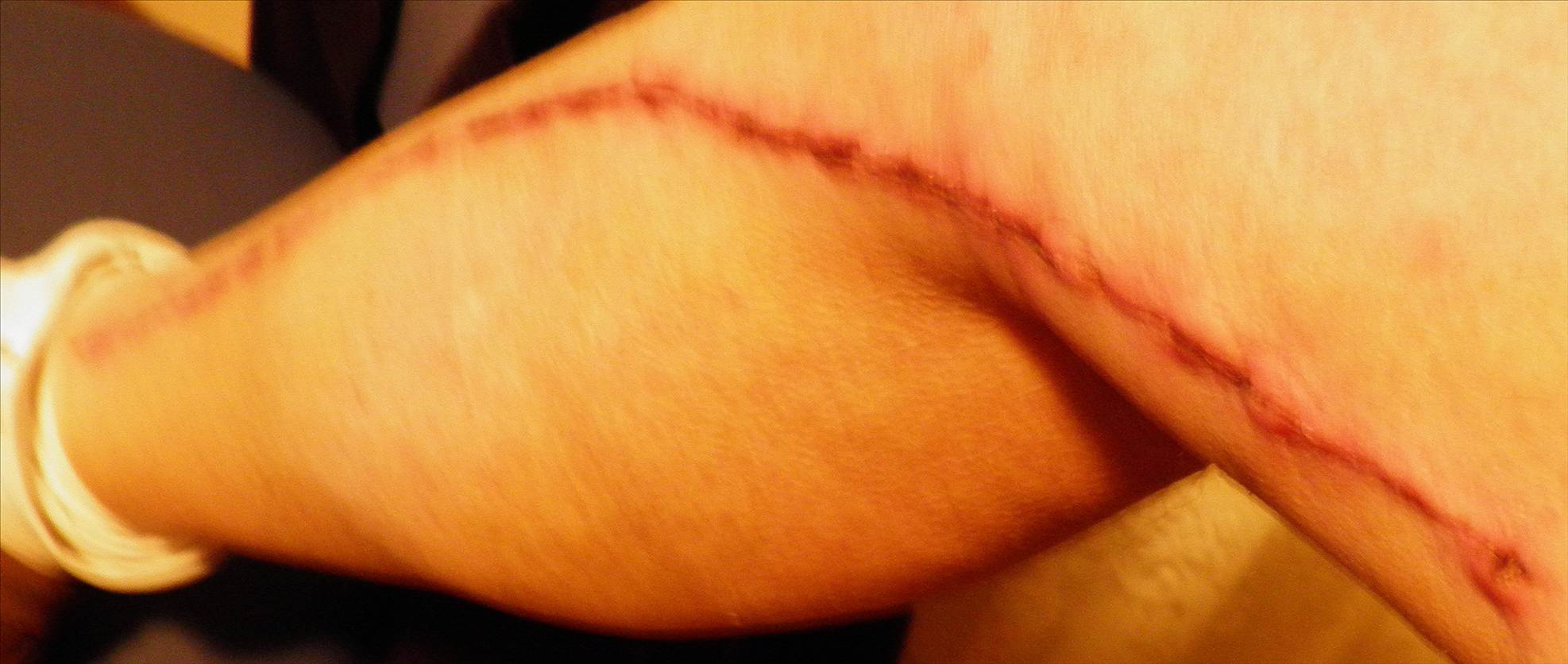 PB180289ChickenDrumstick