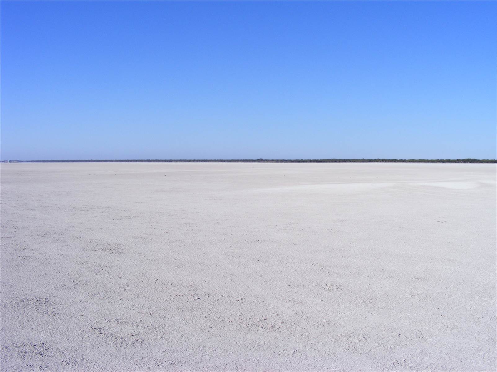 australia day at kingston