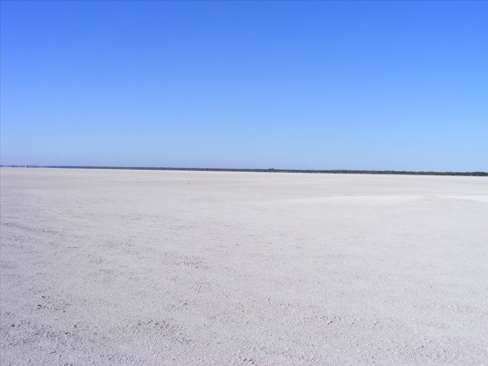 australia day at kingston