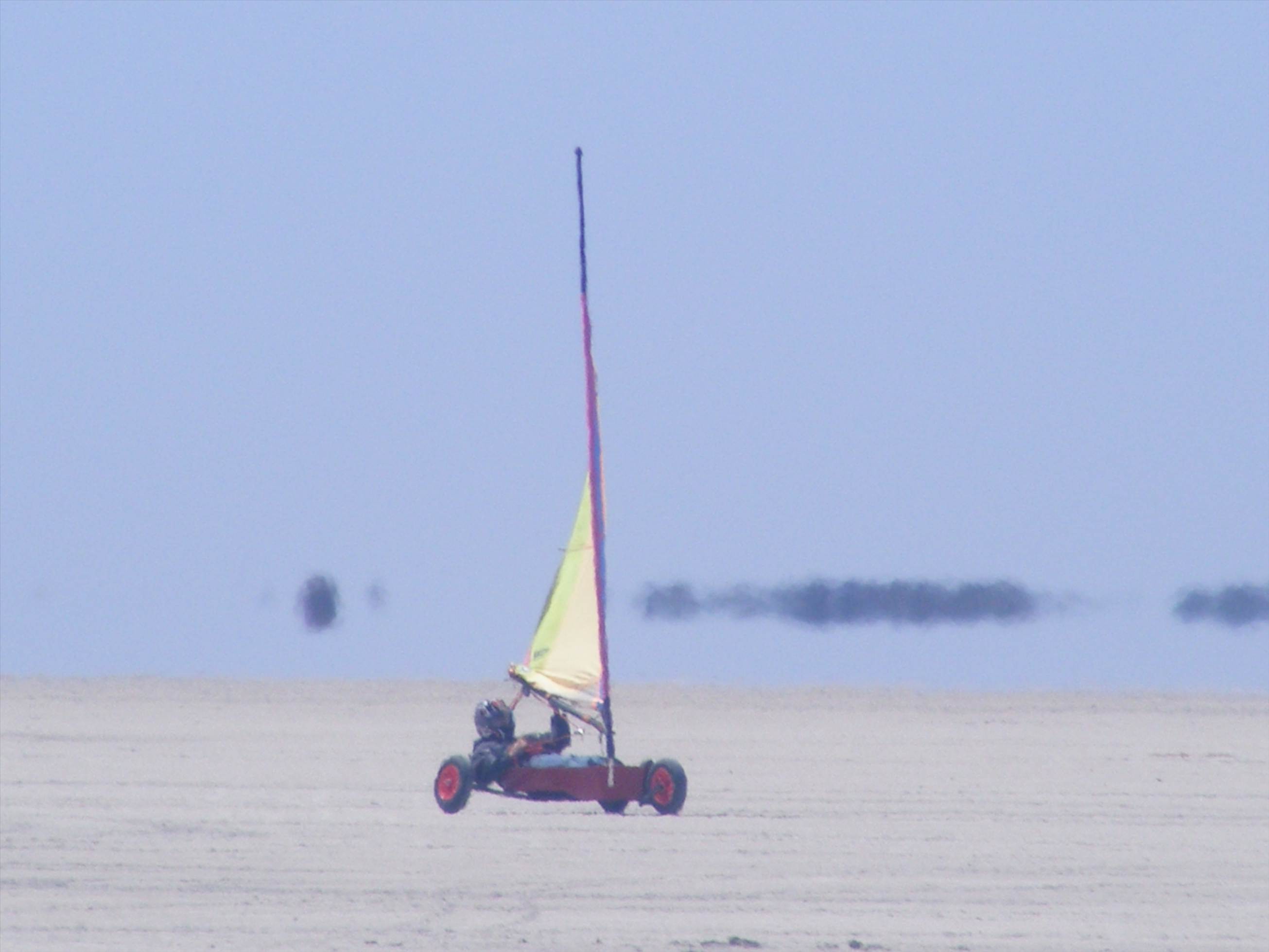 australia day bash 2013