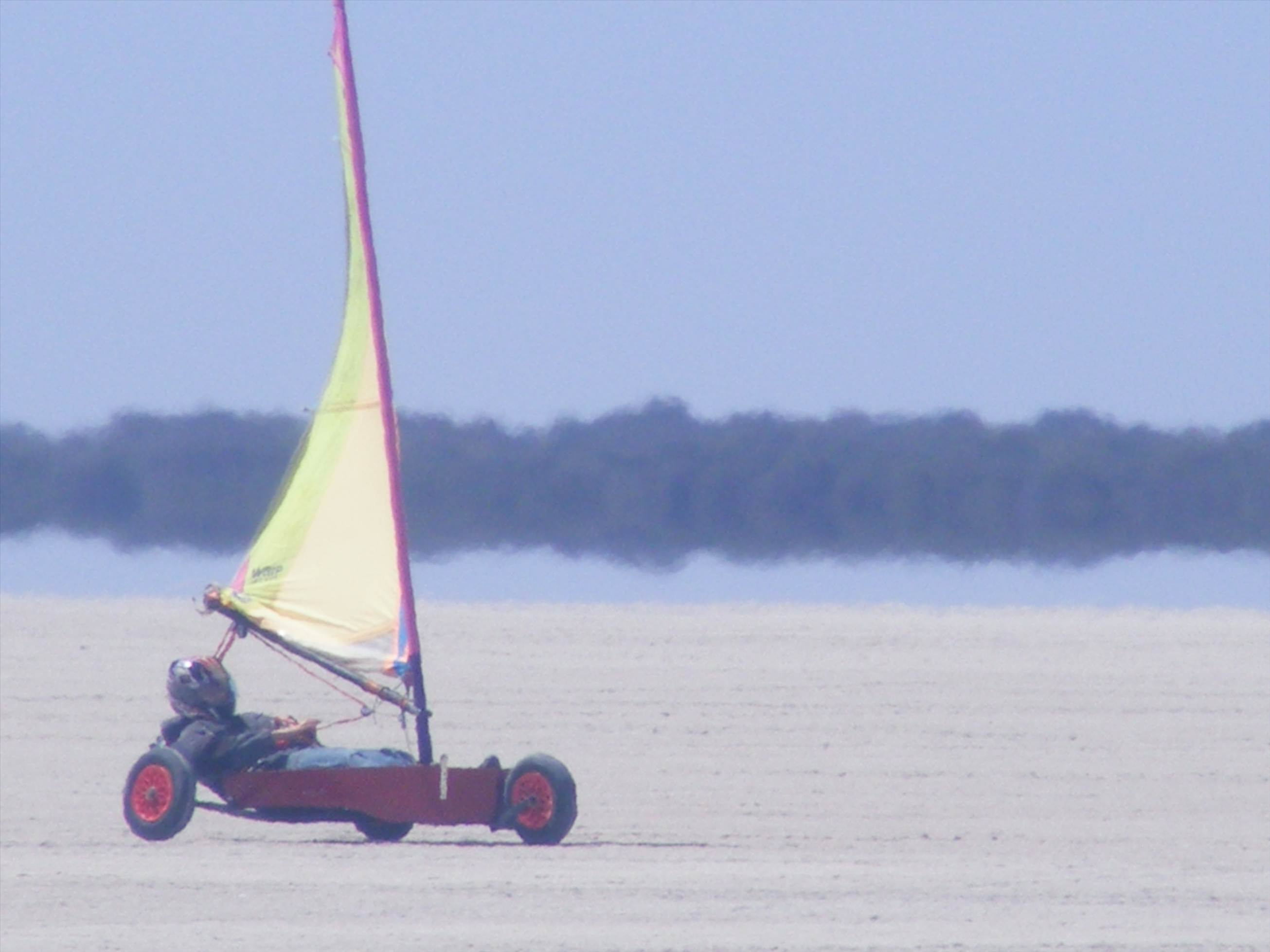 australia day bash 2013