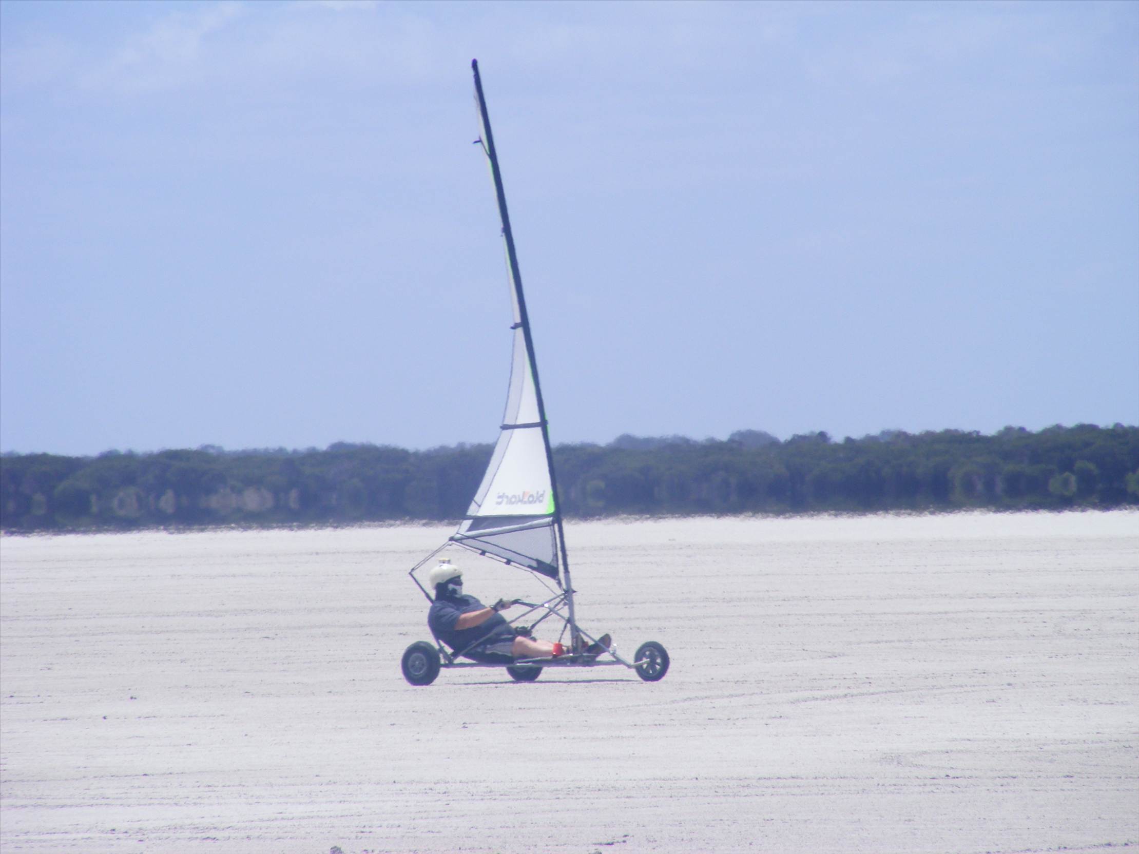 australia day bash 2013