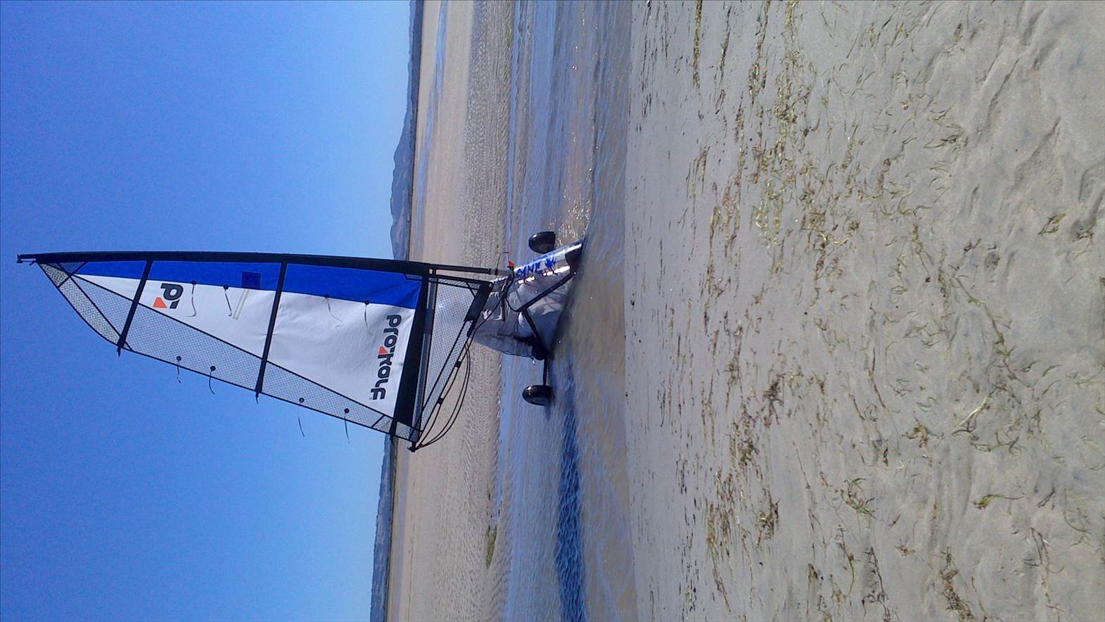 Rossco cooling off after smoking around Shallow Inlet