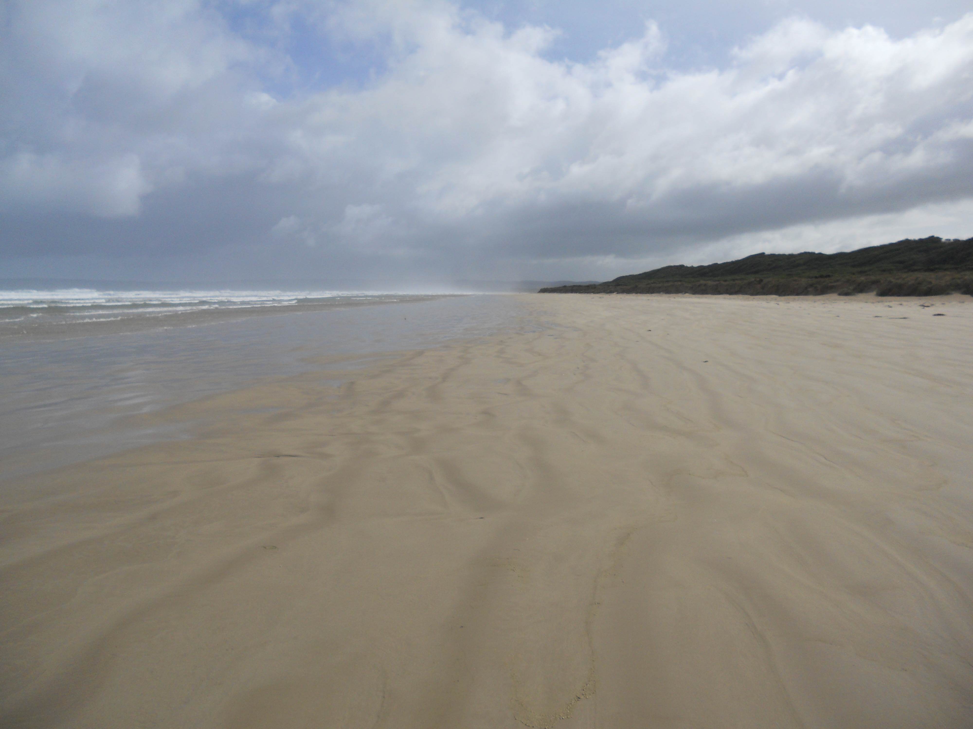 sandy point 02-08-13 009