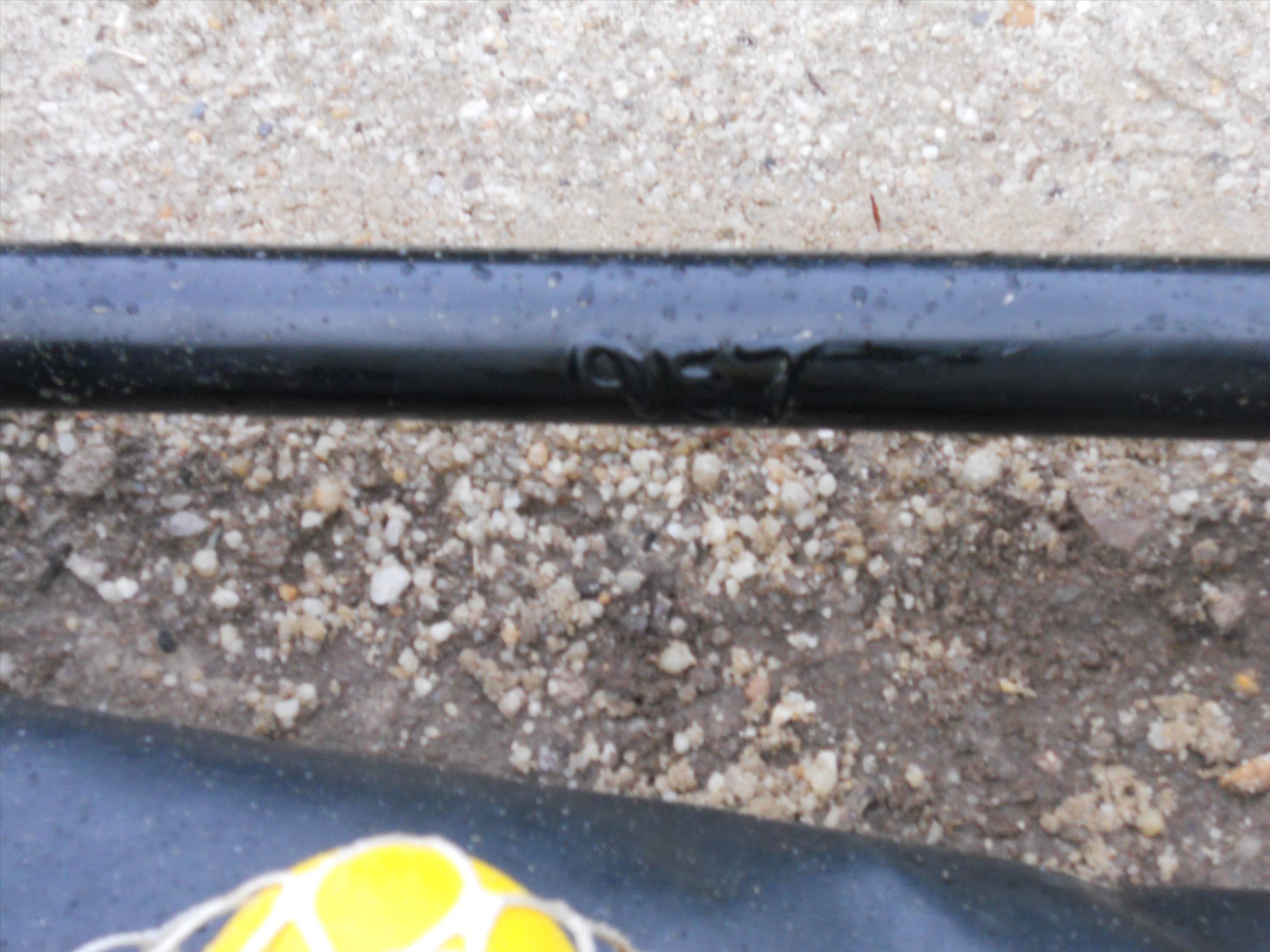 sandy point 02-08-13 015