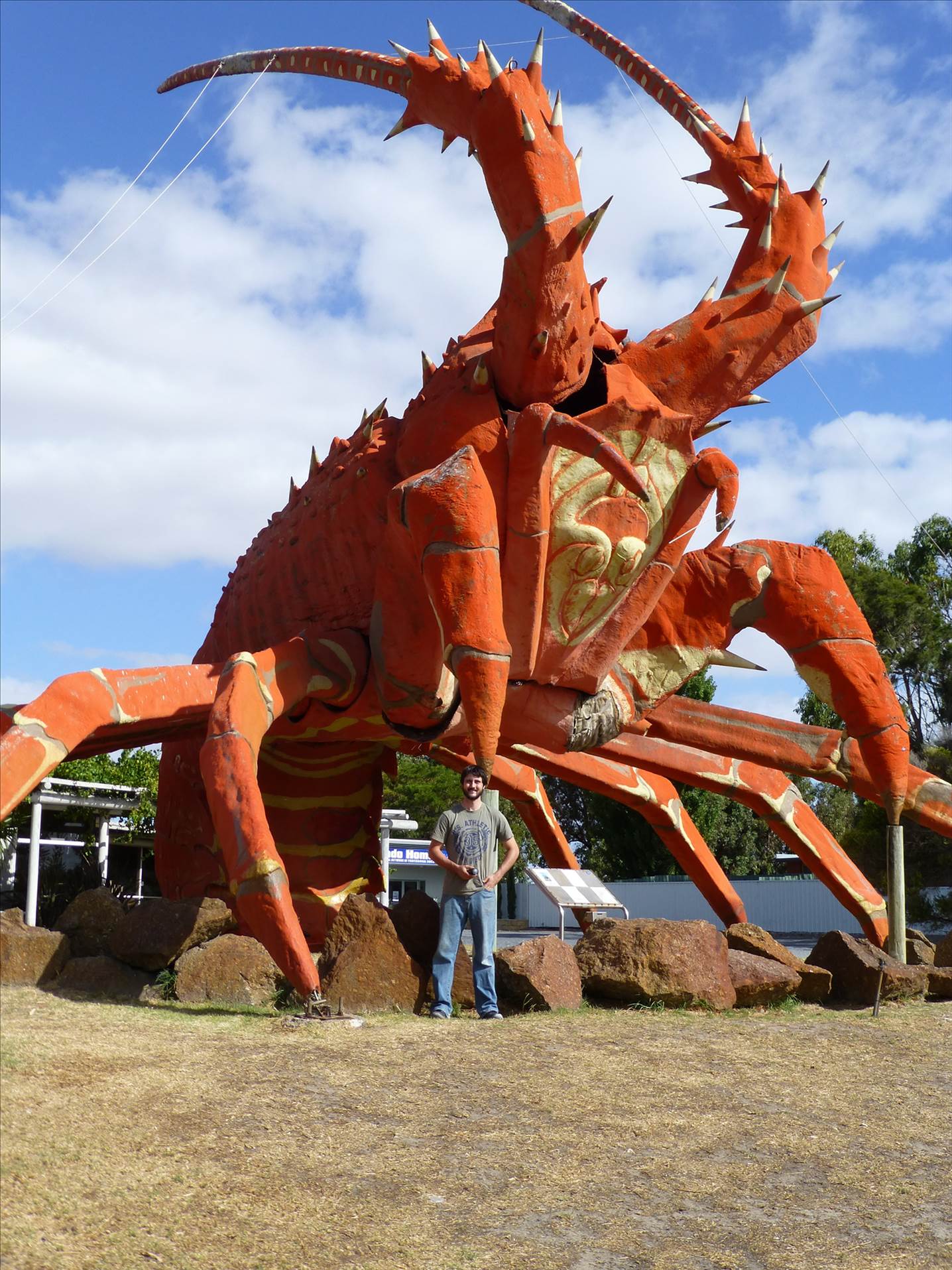 Kingston SE Big Lobster