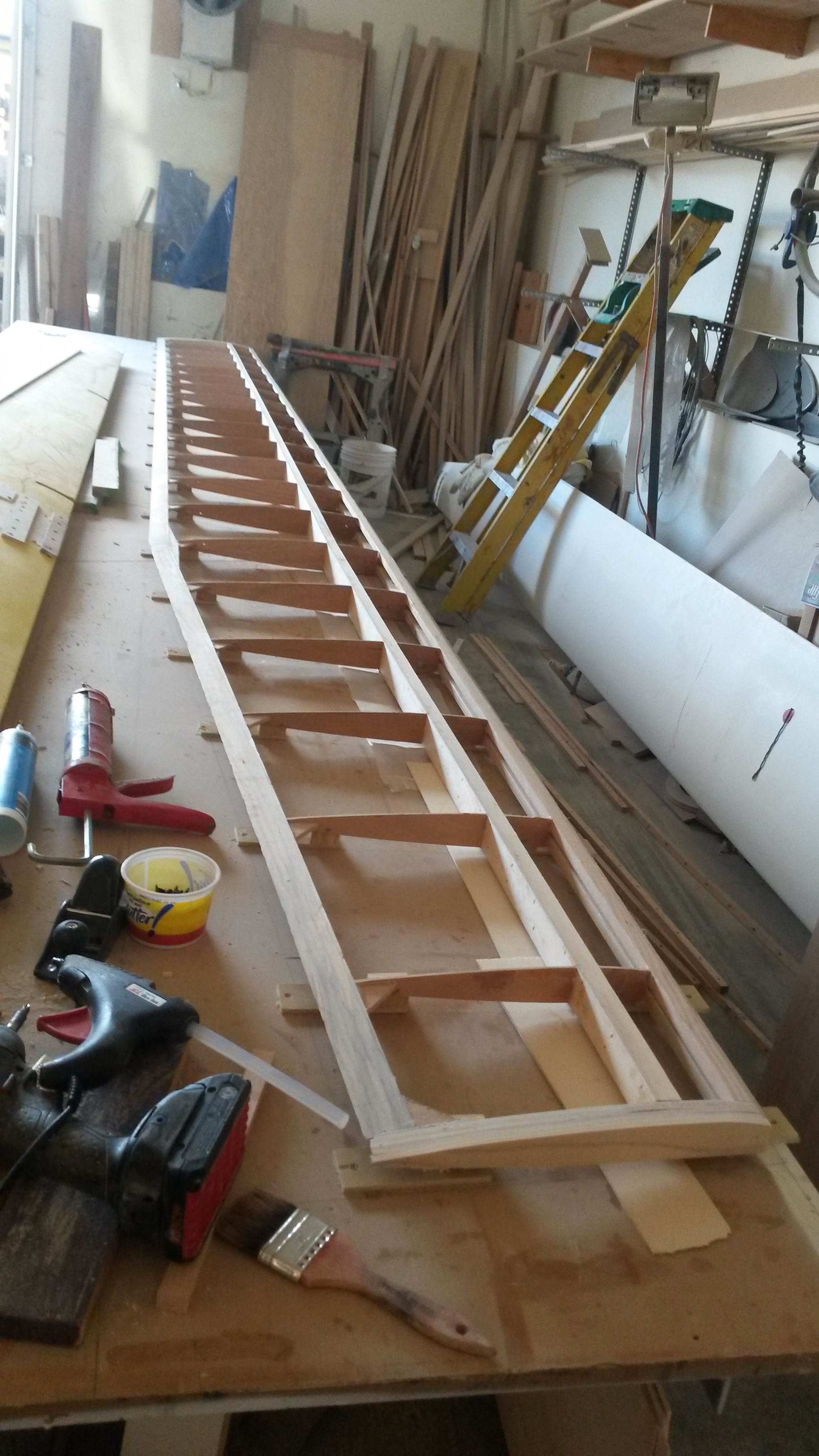 Wingnut lll class 3 wing