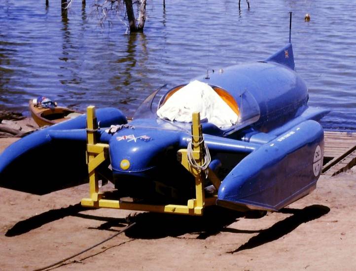 cropped-Bluebird-722x550