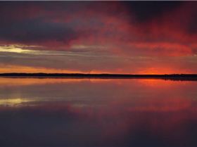 12109104 884329154992423 1655731564761301495 n