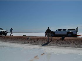 12162368 10203488366890062 1517290010 o