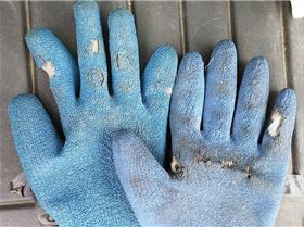 Worn gloves