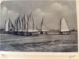 13239466 250477878646358 2783152772680809891 n