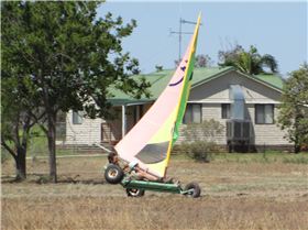 mudskipper and blue swimmer