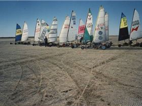  NewZealand Champion ships