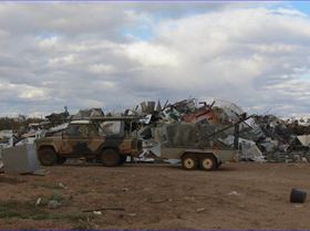 A rarely seen LLM nesting mound