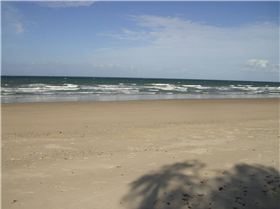 A Great day at Coonarr-20k South of Bundy.